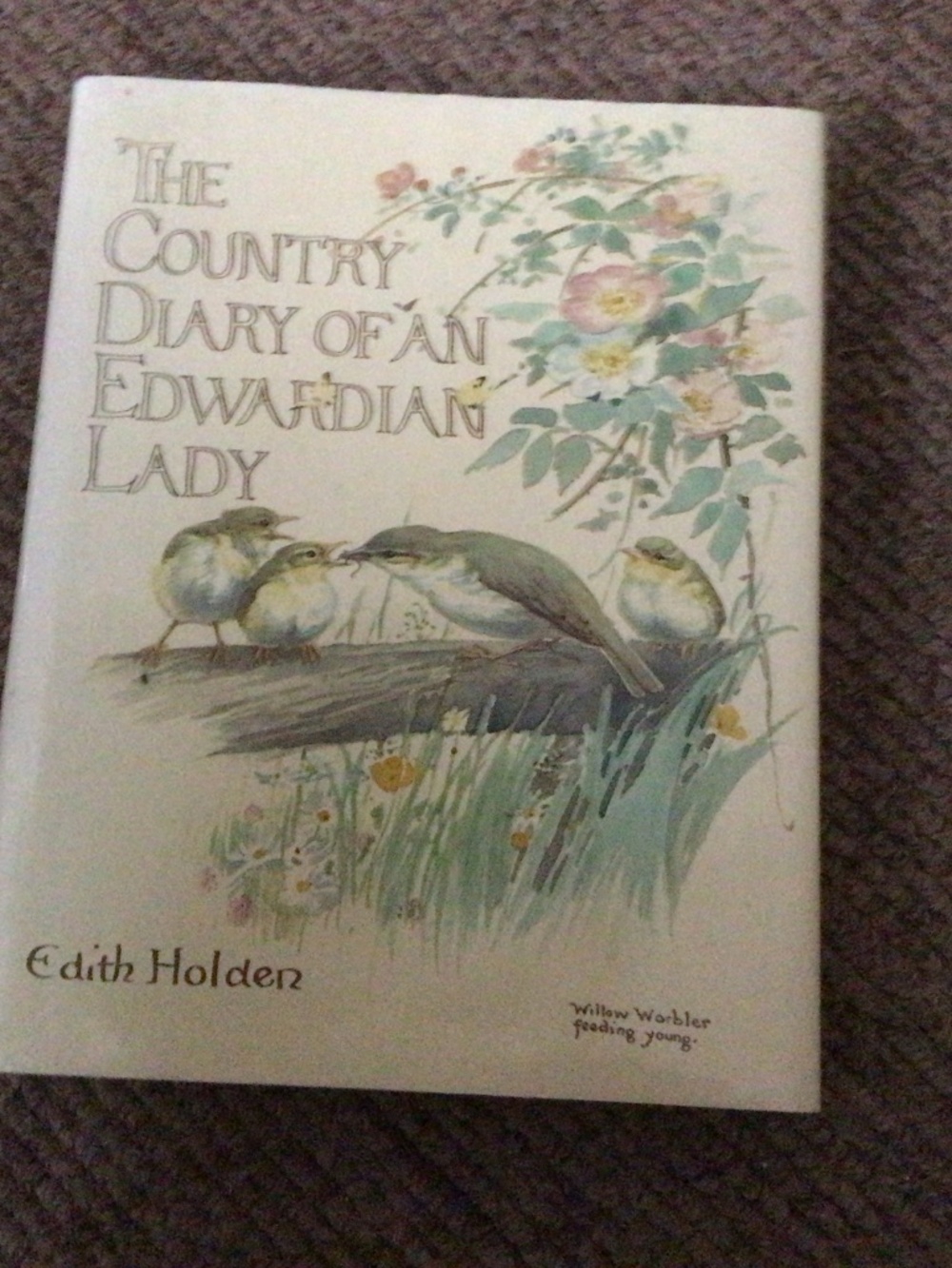 The country diary of an Edwardian lady book
